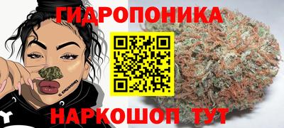 ECSTASY Ливны