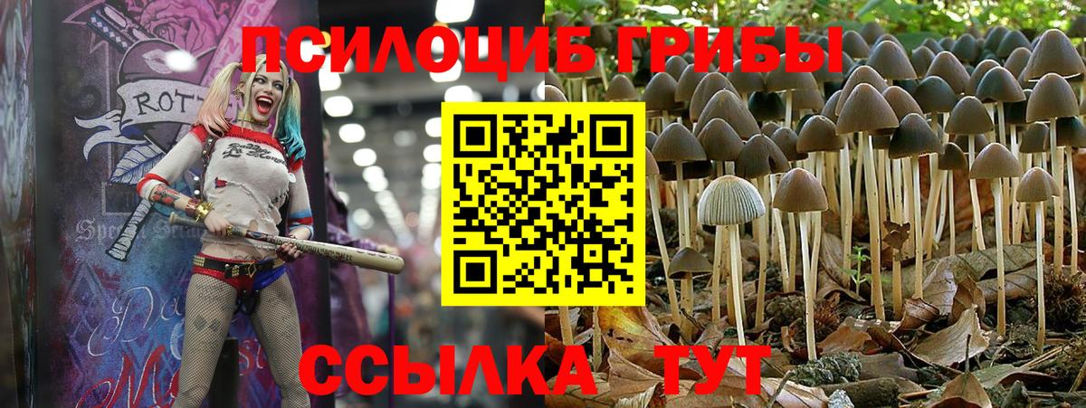 Галлюциногенные грибы прущие грибы Гусев
