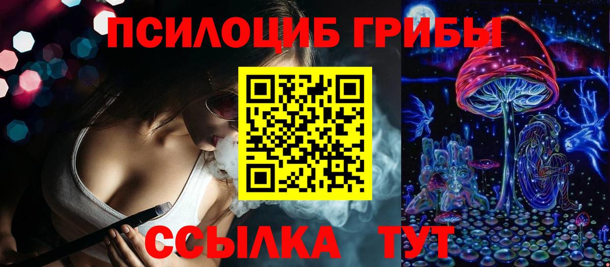 Псилоцибиновые грибы Cubensis  Галлюциногенные грибы Psilocybe  Гусев  Вход с VPN 